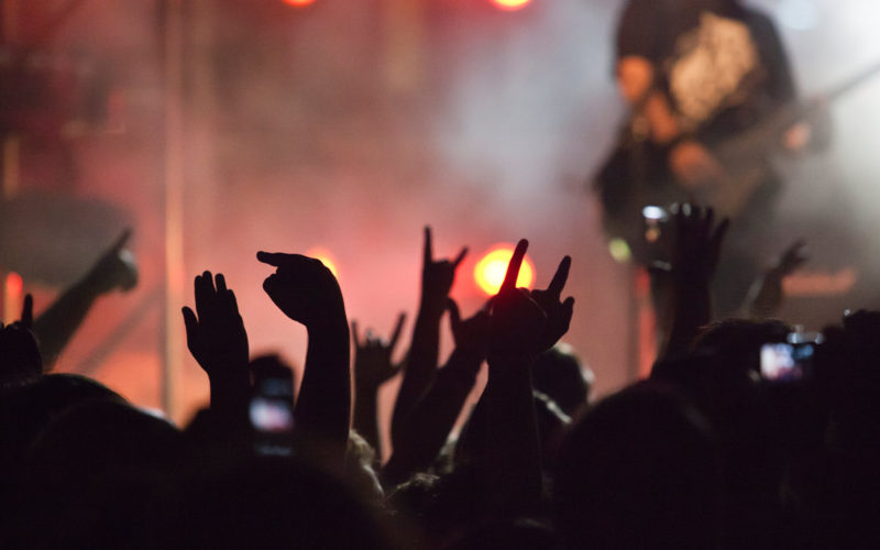 Goa-Boa Festival 2014