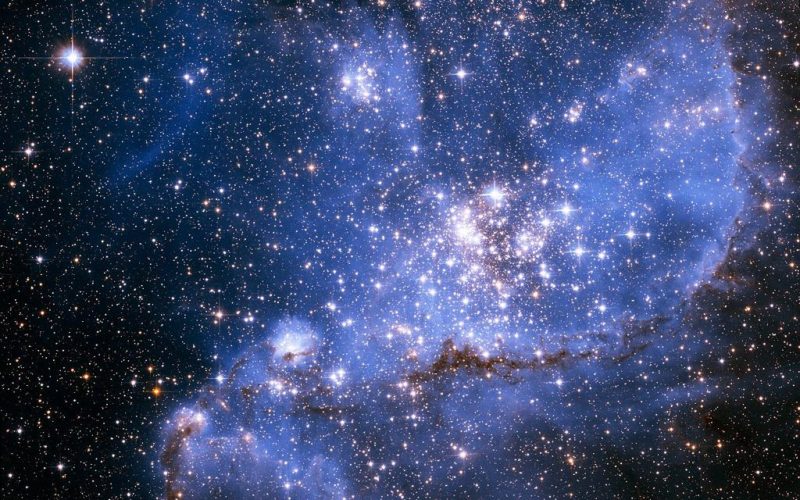 Festival della Scienza: la nostra esperienza