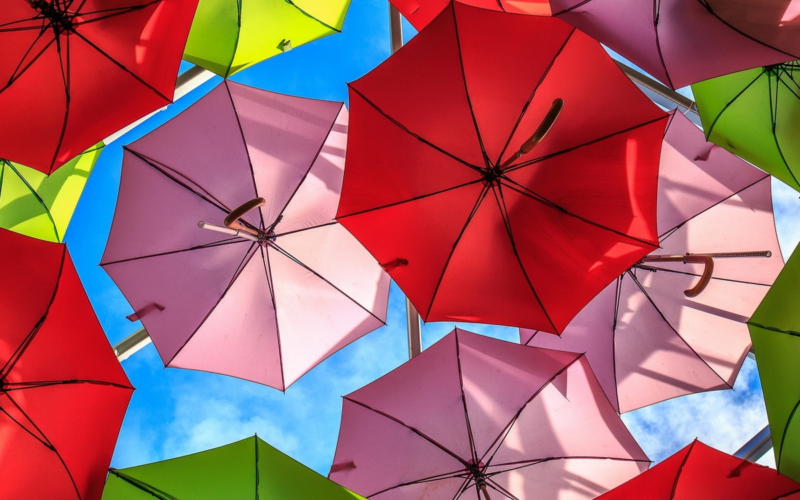 Gli eventi imperdibili di novembre