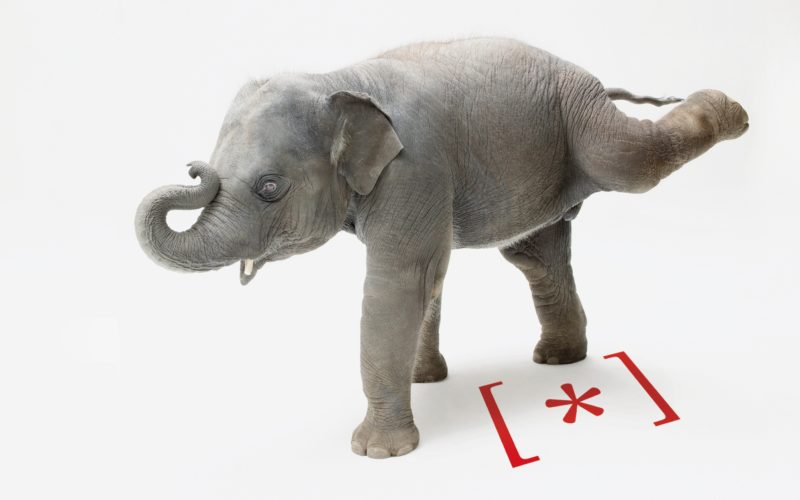 13° Festival della Scienza: si parte!