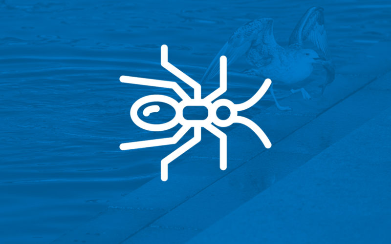 5 cose da fare per un Papà Naturalista