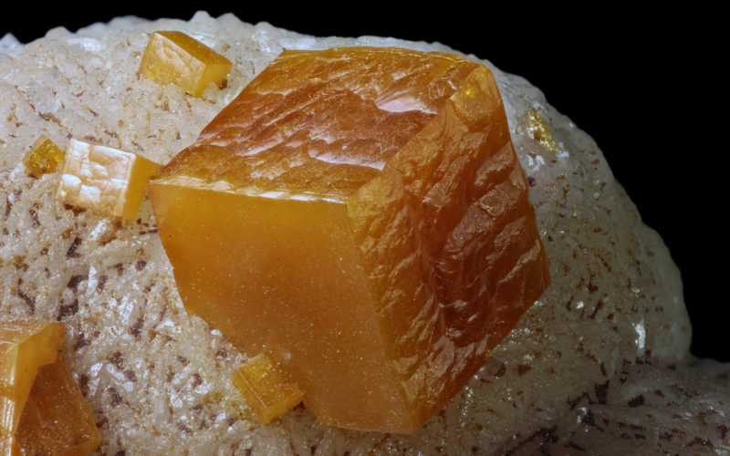 14° Genova Mineral Show