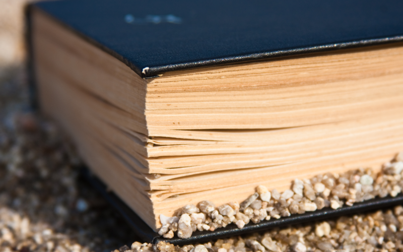 Libri da spiaggia: i nostri consigli