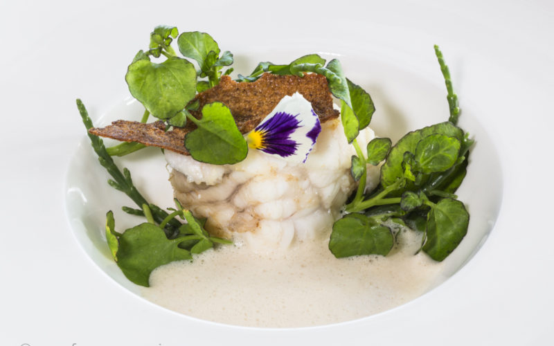 Mangiare Slow: la ricetta della rana pescatrice in zuppetta di nocciole