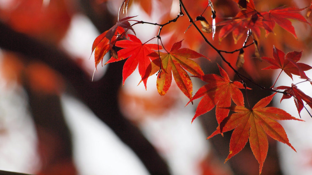ottobre